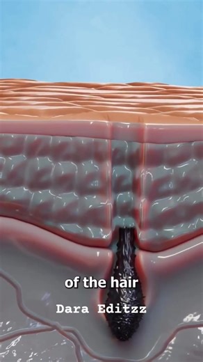 Laser Hair Removal Vs Normal Trimmer