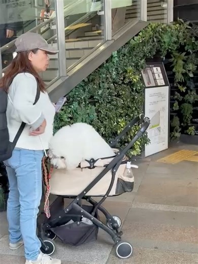 Hilla Alroy on Reels