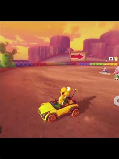 Me playing as koopa troopa in mario kart cuz why not
