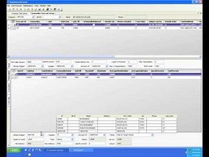 TMW Systems Fuel TMS Demo Segment A mov