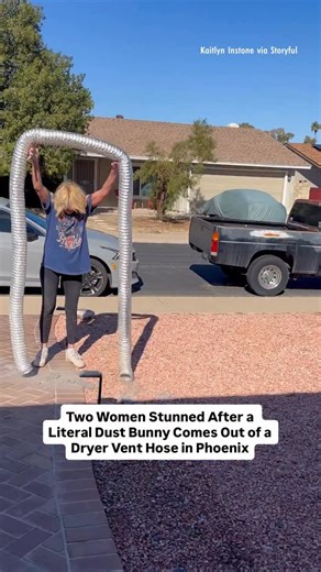 People Magazine on Instagram: "What starts as a routine check of a dryer vent turns into an unexpected animal rescue. The video shows two women laughing as a rabbit is shaken free from the hose and runs off unharmed. Read the full story at the link in our bio."