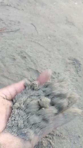 3.3K views · 82 reactions | Module Time muna殺 Ano/sino nga ba??? pampaGood vibes lang殺 | Evangeline Sendrejas Buñag | Facebook