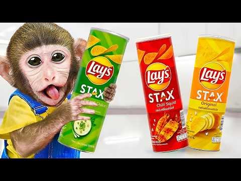 Monkey Dodo Repairs a Snack Machine and Disguised Themselves to Go Buy Ice Cream