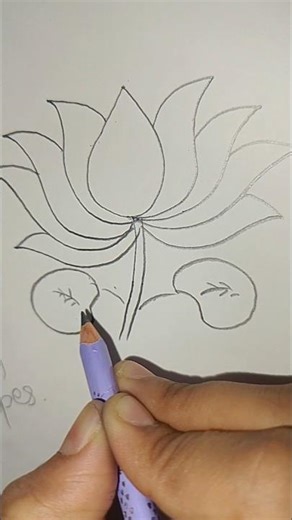 how to draw lotus easy step by step for beginners #shorts