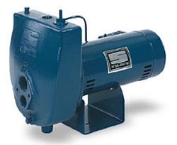Sta-Rite HLD 3/4 HP Deep Well Pump