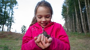 The life and death struggle of Western toads and the local heroes trying to save them. Now streaming: https://bit.ly/36bP4Y1 | CBC Docs