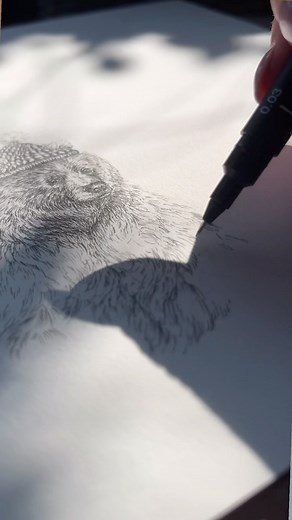 Let’s draw something new 🤍 This piece, started last Summer and finished a few weeks ago, is already in a very special private collection. I love this drawing because it speaks of animal friendships, antique objects, and comforting and familiar interiors, all in one 8 x 10” piece. To my amazing collectors and artist friends…would you like to see this one as a print? Let me know in the comments or my DMs 🤍 #drawing #animaldrawing #penandinkart #finelinerdrawing #artcollection #ontarioartist #can