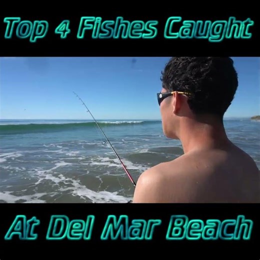 #fishing #Del Mar Beach #catchandrelease #Delmar #goodvibes