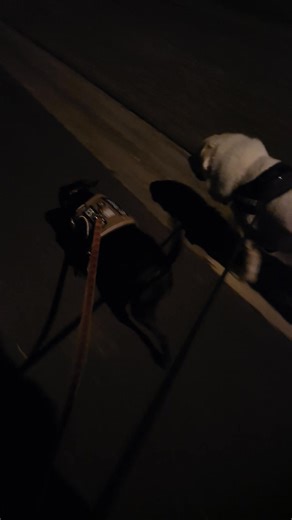 This morning | Chip Chip