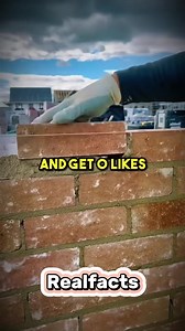 898K views · 9.5K reactions | Facts about you | Real Facts | Facebook