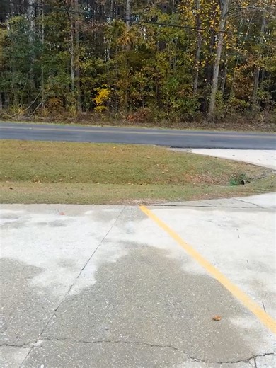 Moving Day Fails: Hilarious Property Damage Moments