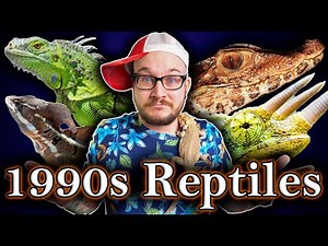1990s Reptiles You Never See Anymore | Where Are They Now?