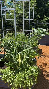 Tired of flimsy garden beds that fall apart? Introducing our modular metal bed, built to last 20 years! Imagine growing your dream garden with ease. What will you grow first? Click to find out! | Grobox Garden