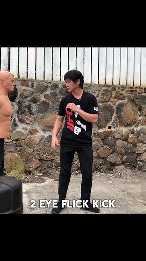 6.8K views · 198 reactions | Pendulum step kick with the lead eye flick setup. You can also you a lead punch or lead hand trap to get this to land like I do in the videos. More explanation on my course at sifunatejkd.com comment “JKD” to get a 50% discount today only!What do you think of this kick?........#martialarts #jeetkunedo #boxing #selfdefense #kungfu #karate #wingchun #brucelee | Sifu Nate Young | Facebook