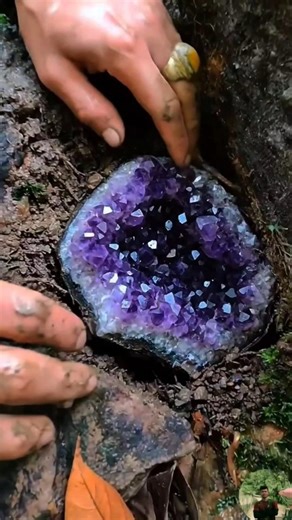 the process of discovering amethyst geodes 💎 #gemstones #crystals #diamond #jade #agate