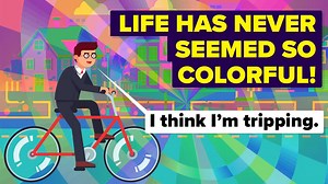 97K views · 231 reactions | What happens to a person when they are high? What is going on in your brain during this? It’s complicated what happens to us when we are high, but we’ll attempt to explain it, in this episode of The Infographics Show, What Happens to Your Brain When You’re High? | The Infographics Show | Facebook