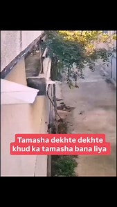 Why always me 🥲 #FCreels [ DogMeme ,MemeDog ,PawfectLaughs ,DogHumor ,BarkSideOfLife ,RelatableDog ,DogsBeLike ,WhenYourDog ,FurRealFunny ,MemeWoof ,DogMood ,DogTok ,MemeVibes ,DogsOfInstagram ,ComedyDog ] | FilterCopy