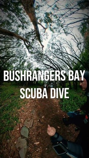 Bushrangers Bay Scuba Dive