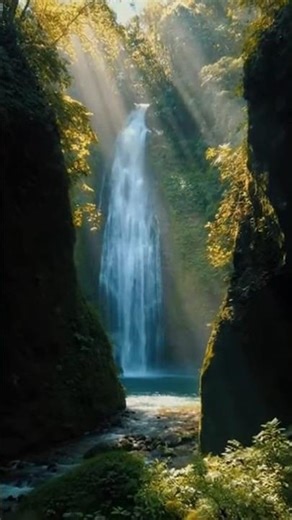 Epic Tropical Waterfall 🌴💦 – Breathtaking View!