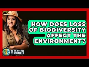 How Does Loss Of Biodiversity Affect The Environment? - Ecosystem Essentials