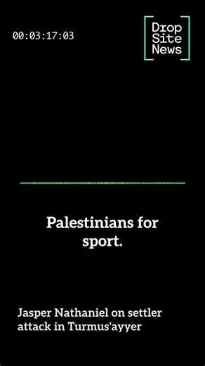 Drop Site | ⚡️Exclusive | Drop Site News speaks with journalist Jasper Nathaniel (@infinite_jaz), who documented a brutal settler attack today in... | Instagram