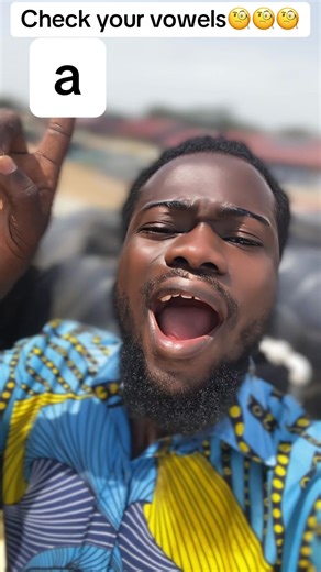 Check Your Vowels: An Engaging Language Challenge