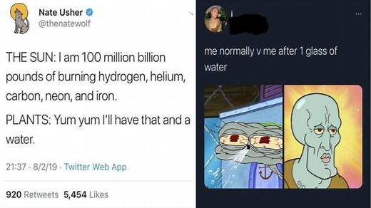 14 Water Memes To Remind You To Stay Hydrated