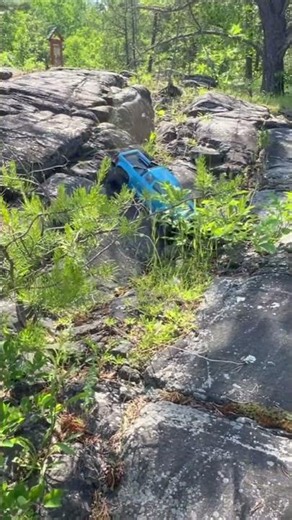 Cozy RC Truck Adventure with a River View