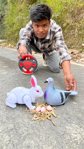 Rc pigeon vs remote control Rabbit unboxing Dese #shorts