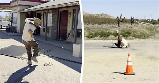 Fake snake prank sends man running in panic in California