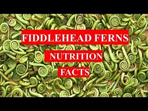 FIDDLEHEAD FERNS VEGETABLE - HEALTH BENEFITS AND NUTRIENT FACTS