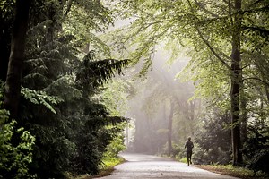Großer Tiergarten: Berlins wohl bedeutendste Parkanlage