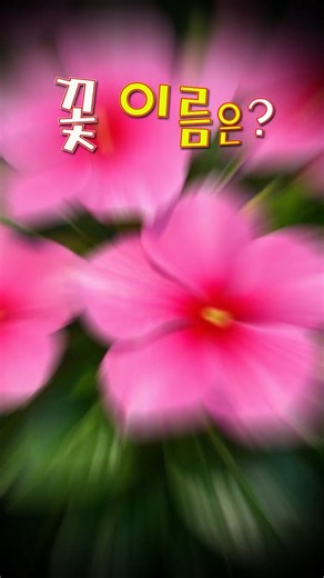 Guess the Flower Name #ObservationSkills #BrainTraining #FlowerHealing