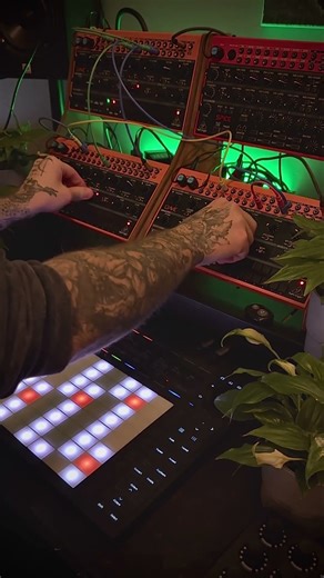 Behringer Crave synths Poly Chain patch, with arpeggio played by Push 3 Standalone