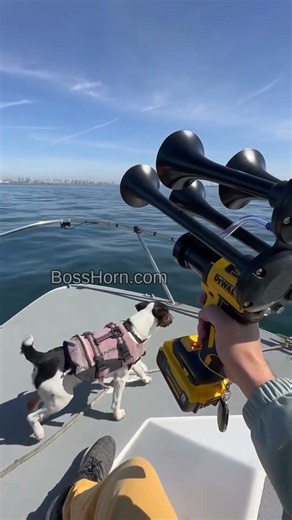 Boss Horn -- Portable Train Horn That's Taking Over Social Media