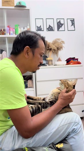 Discover the MICO App Experience