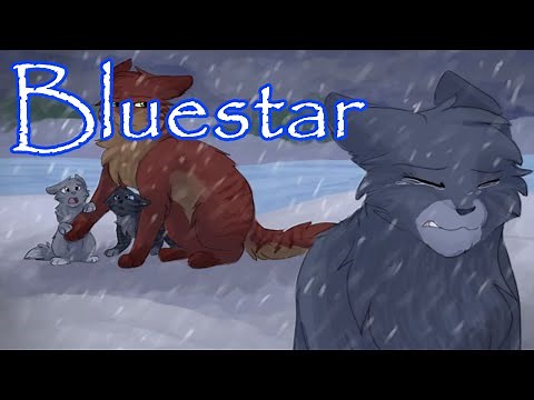 Bluestar's Emotional Arc in Rising Storm - Analyzing Warrior Cats