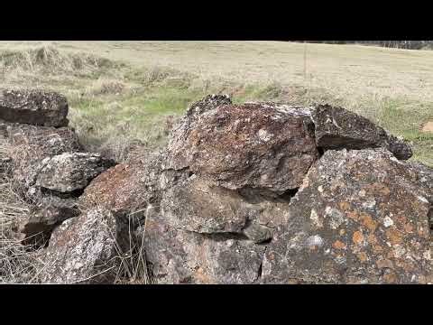 Towson Tales - Part 2 Nicholas Wherritt – Confer a Favour on Yours