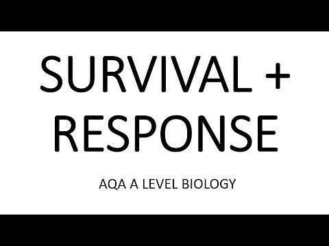 SURVIVAL AND RESPONSE - AQA A LEVEL BIOLOGY + EXAM QUESTIONS RUN THROUGH