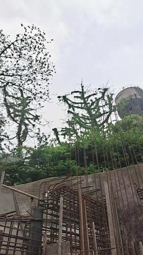 生活大爆炸