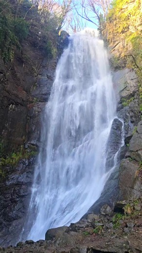 BiniBambini on TikTok