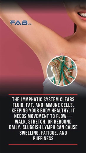 The lymphatic system returns excess tissue fluid to the blood, transports dietary fats, and helps the immune system clear debris and pathogens. PMID: 32163039 Unlike the heart, lymph relies on muscle movement and pressure changes to flow, so inactivity slows it down. PMID: 26931178 When lymph flow is impaired — due to sedentary lifestyle, poor diet, smoking, or environmental factors — tissues can retain fluid, causing swelling, fatigue, recurrent infections, puffy skin, and discomfort. PMID: 400