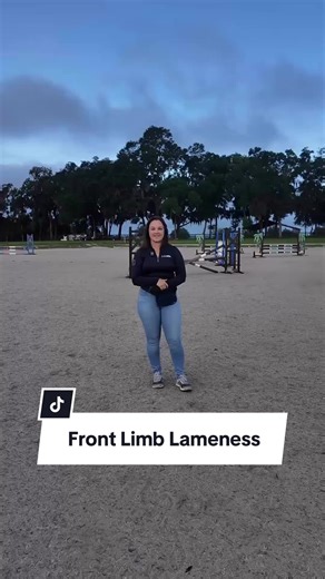 Identifying Front Limb Lameness in Horses