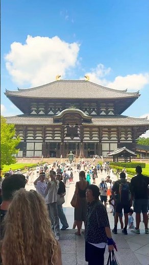 東大寺🫎奈良公園