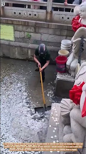 The Ingenious Coin Collection Tool