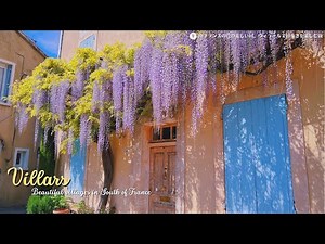 Villars / Beautiful village in South of France / French countryside / Provence / cute cats / flower