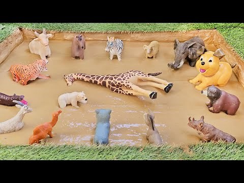 Endangered Animals Save the Day in the Mud | Play & Learn Activities for Kids