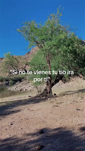 Mentira no es #fyp #foryou #funny #tio