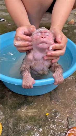 The baby really enjoys being massaged by its mother during bath time.