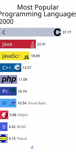 Mastering Coding Techniques with Python and JavaScript